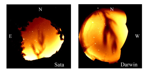 佐多（左）と、その地磁気共役点であるオーストラリア・ダーウィン（右）に設置されている630 nm全天カメラで初めて同時観測された巨大な電離圏プラズマバブル。サボテン状の黒い部分がプラズマバブルで、その中の電子密度は極端に低い。バブルの最高高度は、磁気赤道で1700 kmに達します