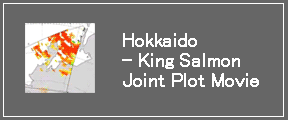 Hokkaido - King Salmon Joint Plot Movie