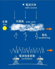 Radio waves from a compact radio source are scattered by electron density irregularities in solar wind, and the scattered radio waves interfere with each other as they propagate to the earth, producing diffraction patterns on an observer's plane. This phenomenon is called interplanetary scintillation (IPS). IPS measurements with widely separated antennas can obtain solar wind velocity and density fluctuation level.